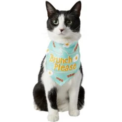 Frisco Brunch Please Dog & Cat Bandana 10 Frisco Brunch Please Dog & Cat Bandana -Frisco 249207 PT2. AC SS1800 V1696597732