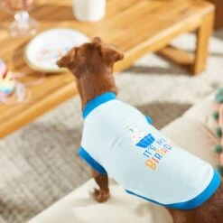 Frisco It's My Birthday & Cat T-Shirt 11 Frisco It's My Birthday & Cat T-Shirt -Frisco 249249 PT7. AC SS1800 V1614289318