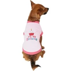 Frisco It's My Birthday Dog & Cat T-Shirt, Pink 7 Frisco It's My Birthday Dog & Cat T-Shirt, Pink -Frisco 249255 PT2. AC SS1800 V1624608150