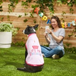 Frisco It's My Birthday Dog & Cat T-Shirt, Pink 9 Frisco It's My Birthday Dog & Cat T-Shirt, Pink -Frisco 249255 PT7. AC SS1800 V1614289423