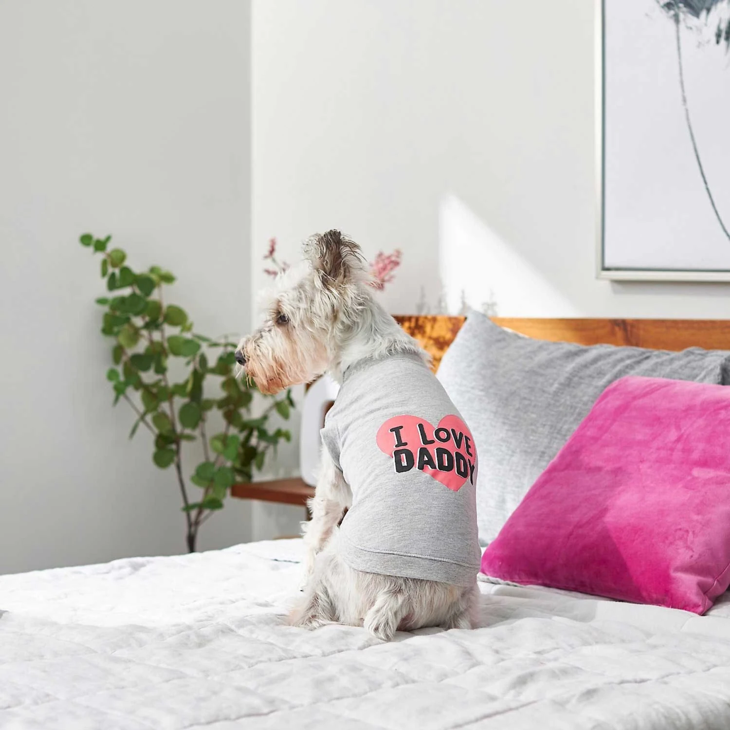 Frisco I Love Daddy Dog & Cat T-Shirt, Gray 6 Frisco I Love Daddy Dog & Cat T-Shirt, Gray - Image 6