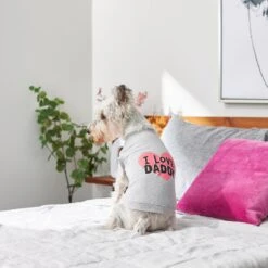 Frisco I Love Daddy Dog & Cat T-Shirt, Gray 13 Frisco I Love Daddy Dog & Cat T-Shirt, Gray -Frisco 249263 PT7. AC SS1800 V1614284197