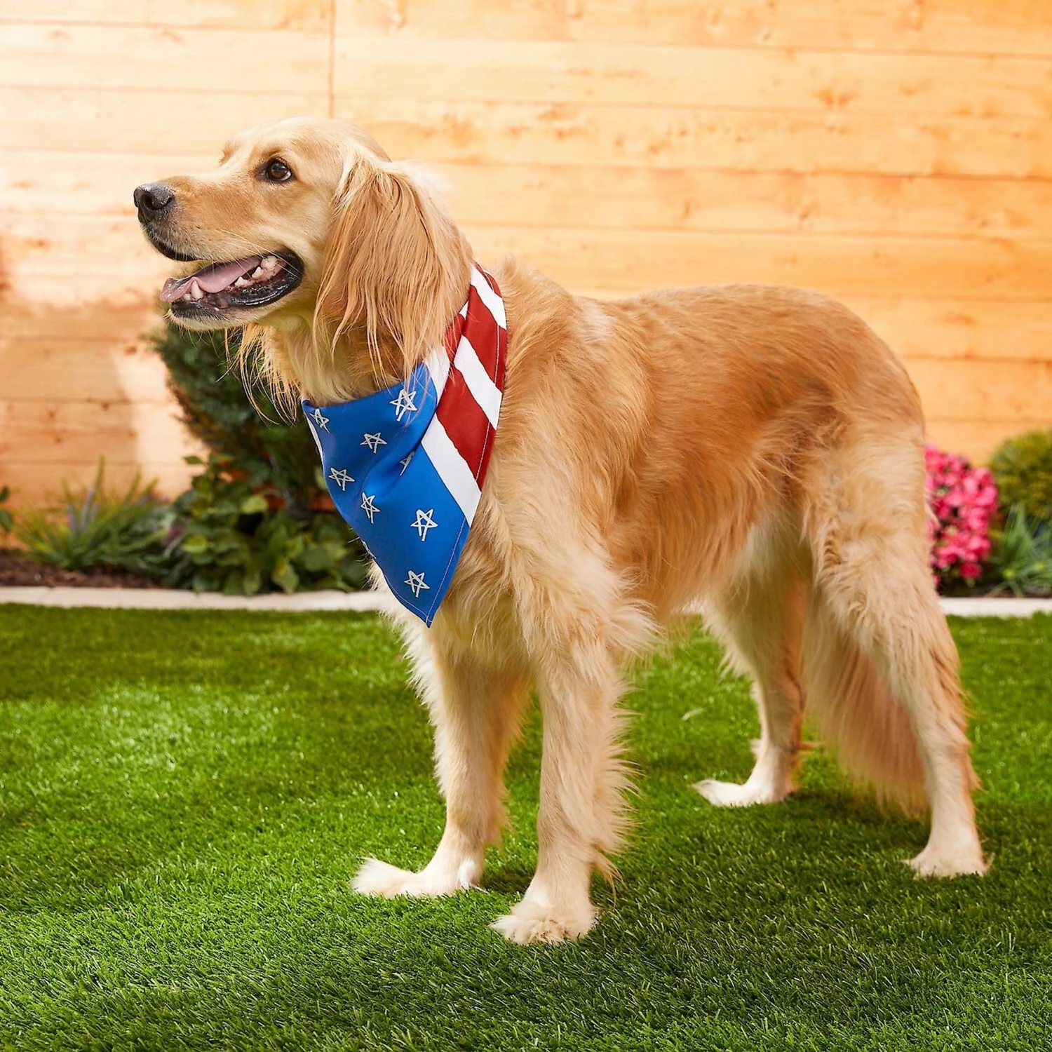 Frisco Stars & Stripes Dog & Cat Bandana 6 Frisco Stars & Stripes Dog & Cat Bandana - Image 6