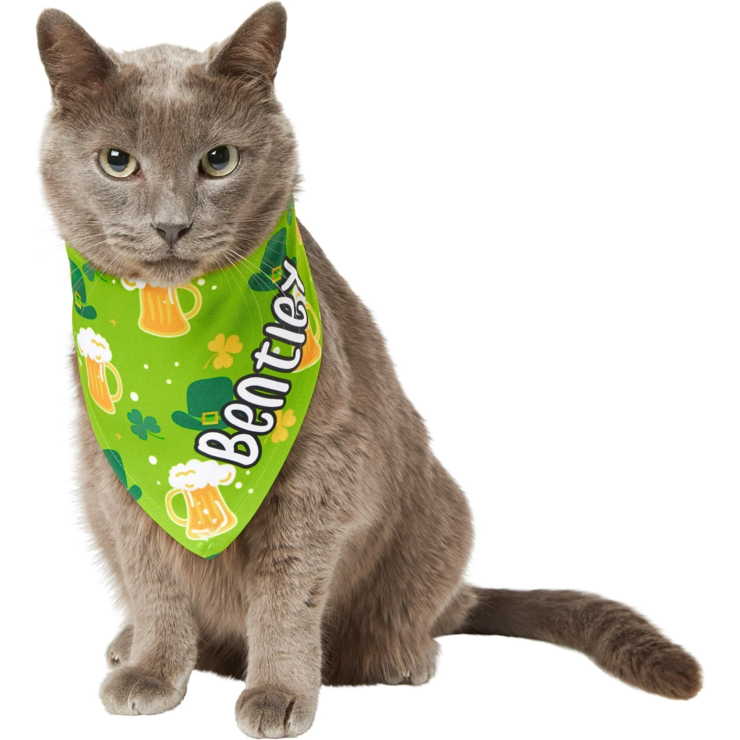 Frisco Green Ale Personalized Dog & Cat Bandana 8 Frisco Green Ale Personalized Dog & Cat Bandana - Image 8