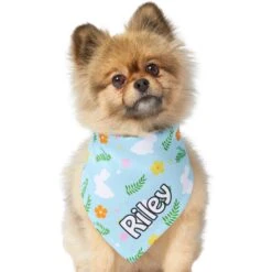 Frisco Easter Bunny Personalized Dog & Cat Bandana 15 Frisco Easter Bunny Personalized Dog & Cat Bandana -Frisco 254211 PT6. AC SS1800 V1618509425