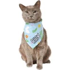 Frisco Easter Bunny Personalized Dog & Cat Bandana 16 Frisco Easter Bunny Personalized Dog & Cat Bandana -Frisco 254211 PT7. AC SS1800 V1618510982