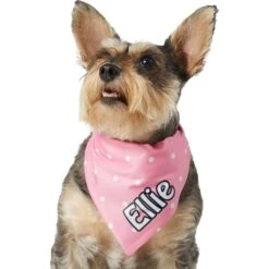 Frisco Polka Dot Personalized Dog & Cat Bandana 15 Frisco Polka Dot Personalized Dog & Cat Bandana -Frisco 254223 PT6. AC SS1800 V1696432728