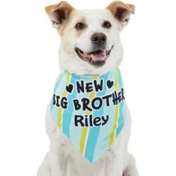 Frisco Big Brother Personalized Dog & Cat Bandana 15 Frisco Big Brother Personalized Dog & Cat Bandana -Frisco 254231 PT6. AC SS1800 V1633071398
