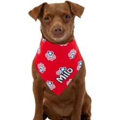 Frisco Patriotic Paws Personalized Dog & Cat Bandana 15 Frisco Patriotic Paws Personalized Dog & Cat Bandana -Frisco 254243 PT6. AC SS1800 V1619557657