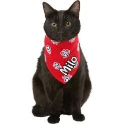 Frisco Patriotic Paws Personalized Dog & Cat Bandana 16 Frisco Patriotic Paws Personalized Dog & Cat Bandana -Frisco 254243 PT7. AC SS1800 V1619559130