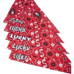 Frisco Paisley Printed Personalized Dog & Cat Bandana 13 Frisco Paisley Printed Personalized Dog & Cat Bandana -Frisco 254247 PT4. AC SS1800 V1618511570