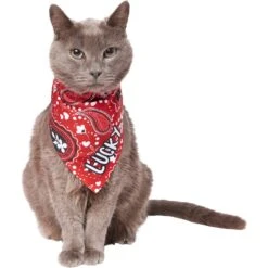 Frisco Paisley Printed Personalized Dog & Cat Bandana 16 Frisco Paisley Printed Personalized Dog & Cat Bandana -Frisco 254247 PT7. AC SS1800 V1618508211