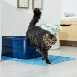Frisco Quilted Cat Litter Mat 8 Frisco Quilted Cat Litter Mat -Frisco 258210 PT3. AC SS1800 V1675279933