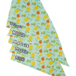Frisco Citrus Personalized Dog & Cat Bandana 13 Frisco Citrus Personalized Dog & Cat Bandana -Frisco 258758 PT4. AC SS1800 V1619558899
