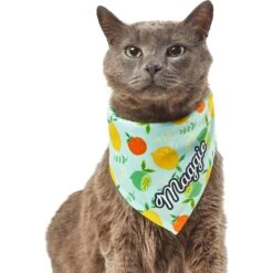 Frisco Citrus Personalized Dog & Cat Bandana 16 Frisco Citrus Personalized Dog & Cat Bandana -Frisco 258758 PT7. AC SS1800 V1619560408