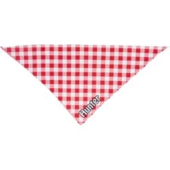Frisco Gingham Personalized Dog & Cat Bandana -Frisco 258775 PT3. AC SS1800 V1619558276