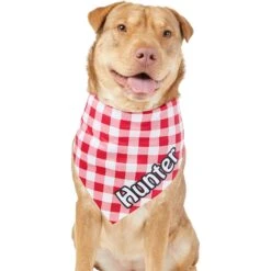 Frisco Gingham Personalized Dog & Cat Bandana -Frisco 258775 PT6. AC SS1800 V1619558303