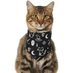 Frisco Glow In The Dark Mystical Print Dog & Cat Bandana -Frisco 261218 PT2. AC SS1800 V1633086982