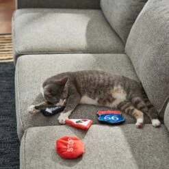 Frisco Road Trip Traffic Signs Plush Cat Toy With Catnip 5 Frisco Road Trip Traffic Signs Plush Cat Toy With Catnip -Frisco 262024 PT3. AC SS1800 V1618598335
