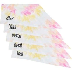 Frisco Tiedye Personalized Dog & Cat Bandana 13 Frisco Tiedye Personalized Dog & Cat Bandana -Frisco 267482 PT4. AC SS1800 V1632416499