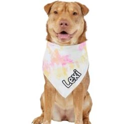 Frisco Tiedye Personalized Dog & Cat Bandana 15 Frisco Tiedye Personalized Dog & Cat Bandana -Frisco 267482 PT6. AC SS1800 V1632428490