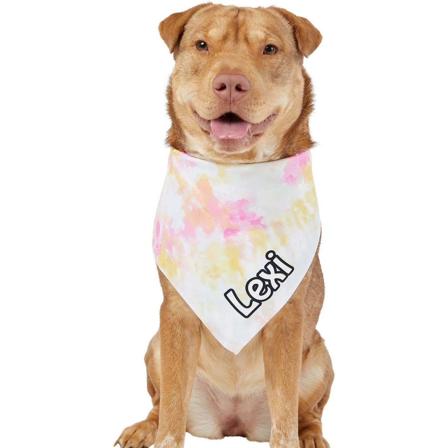 Frisco Tiedye Personalized Dog & Cat Bandana 7 Frisco Tiedye Personalized Dog & Cat Bandana - Image 7