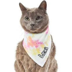 Frisco Tiedye Personalized Dog & Cat Bandana 16 Frisco Tiedye Personalized Dog & Cat Bandana -Frisco 267482 PT7. AC SS1800 V1632420107