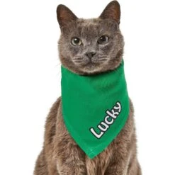 Frisco Solid Color Personalized Dog & Cat Bandana 16 Frisco Solid Color Personalized Dog & Cat Bandana -Frisco 267489 PT7. AC SS1800 V1632431774