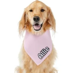 Frisco Solid Pastel Personalized Dog & Cat Bandana 15 Frisco Solid Pastel Personalized Dog & Cat Bandana -Frisco 267514 PT6. AC SS1800 V1632417387
