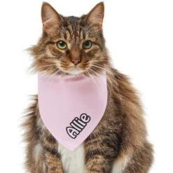 Frisco Solid Pastel Personalized Dog & Cat Bandana 16 Frisco Solid Pastel Personalized Dog & Cat Bandana -Frisco 267514 PT7. AC SS1800 V1632434472
