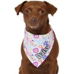 Frisco Bright Floral Personalized Dog & Cat Bandana 14 Frisco Bright Floral Personalized Dog & Cat Bandana -Frisco 267535 PT7. AC SS1800 V1623164573