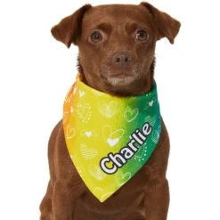 Frisco Rainbow Hearts Personalized Dog & Cat Bandana 14 Frisco Rainbow Hearts Personalized Dog & Cat Bandana -Frisco 267539 PT5. AC SS1800 V1632432071
