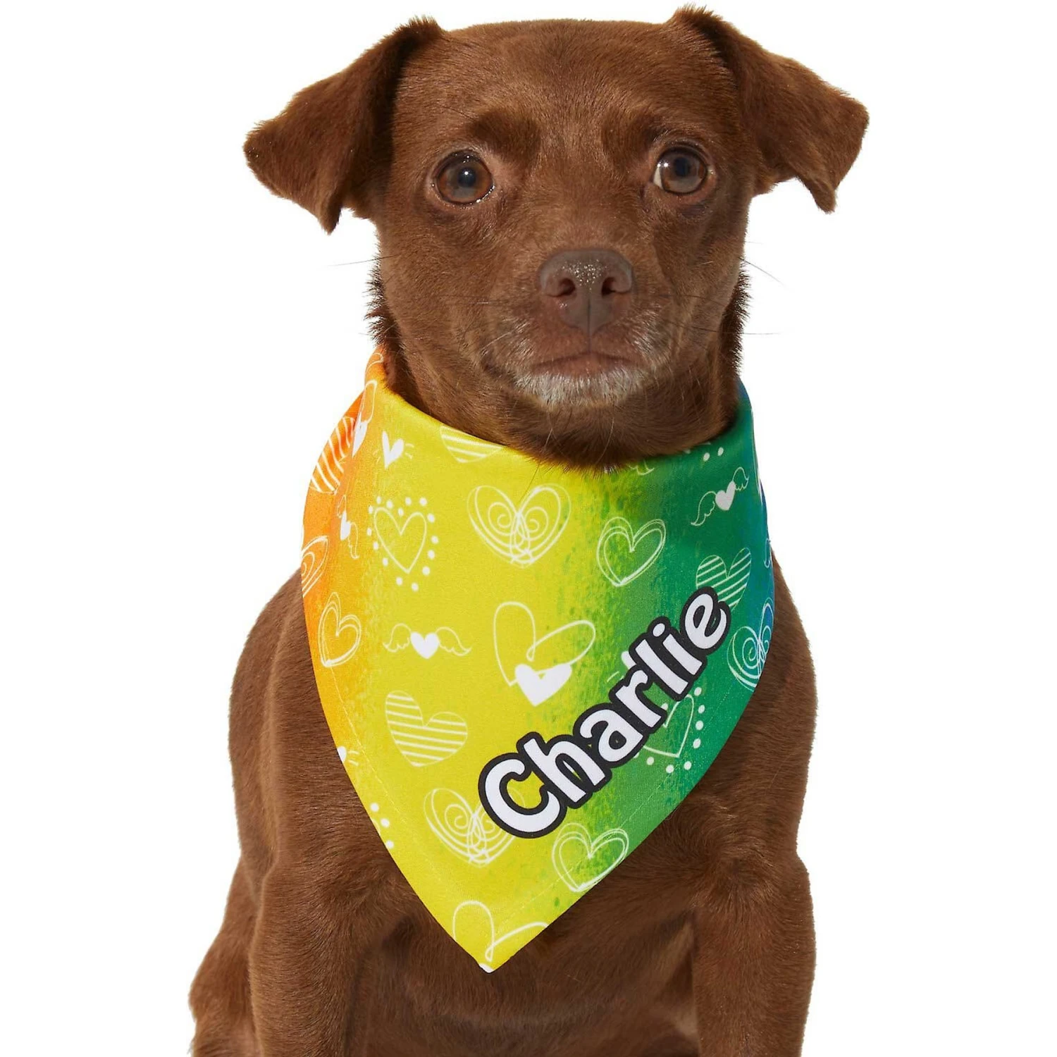 Frisco Rainbow Hearts Personalized Dog & Cat Bandana 6 Frisco Rainbow Hearts Personalized Dog & Cat Bandana - Image 6