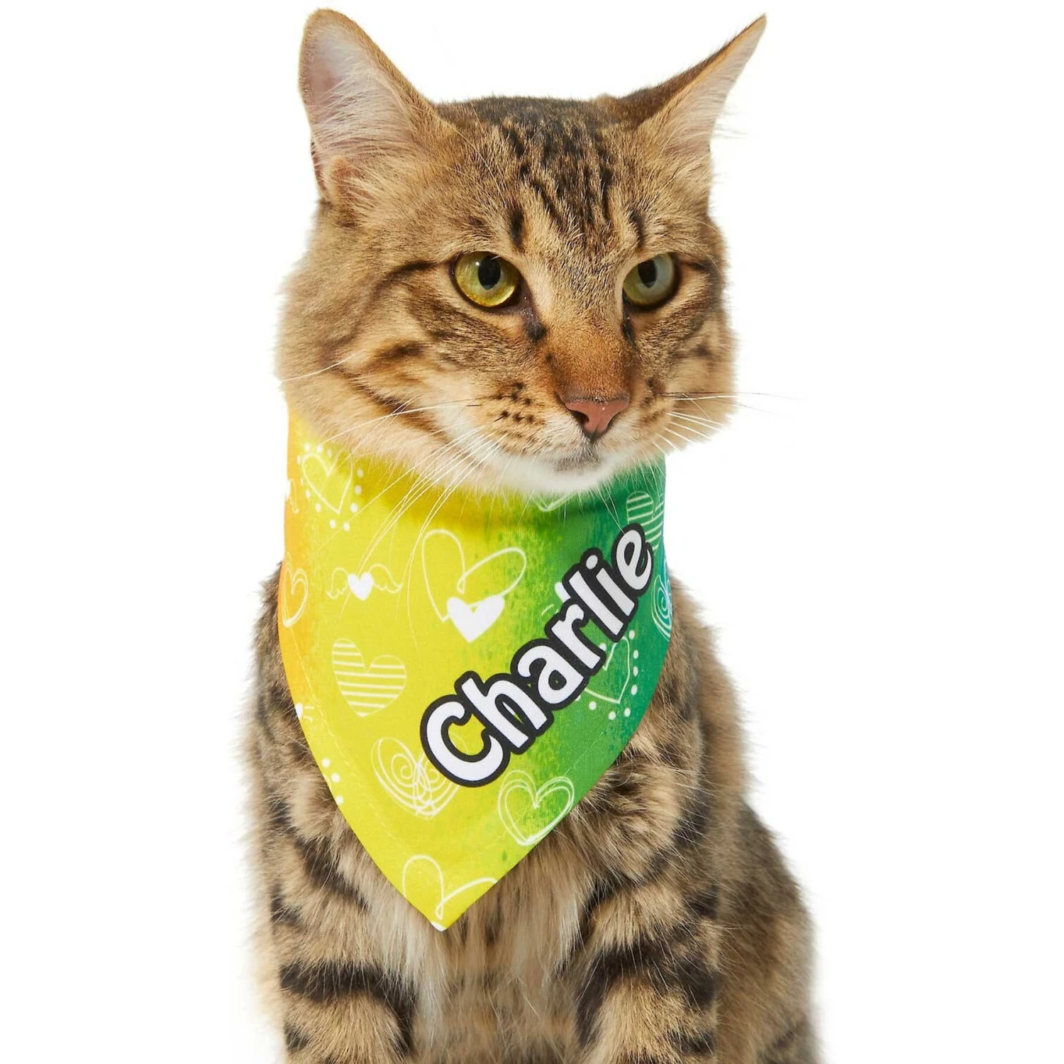 Frisco Rainbow Hearts Personalized Dog & Cat Bandana 7 Frisco Rainbow Hearts Personalized Dog & Cat Bandana - Image 7