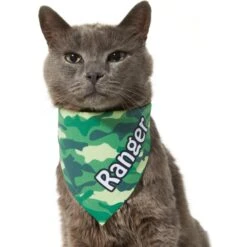 Frisco Green Camo Personalized Dog & Cat Bandana 15 Frisco Green Camo Personalized Dog & Cat Bandana -Frisco 267563 PT8. AC SS1800 V1623182074