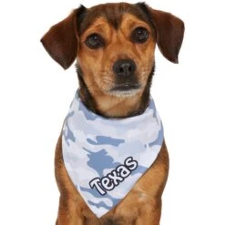 Frisco Gray Camo Personalized Dog & Cat Bandana 14 Frisco Gray Camo Personalized Dog & Cat Bandana -Frisco 267571 PT7. AC SS1800 V1623164679