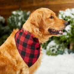 Red Buffalo Plaid Dog & Cat Bandana -Frisco 267899 PT5. AC SS1800 V1637666506