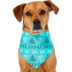 Frisco Geometric Dog & Cat Bandana 10 Frisco Geometric Dog & Cat Bandana -Frisco 267907 PT2. AC SS1800 V1637653589