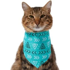 Frisco Geometric Dog & Cat Bandana 11 Frisco Geometric Dog & Cat Bandana -Frisco 267907 PT3. AC SS1800 V1637678544