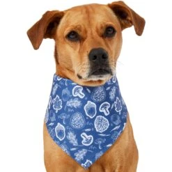 Frisco Fall Vibes Dog & Cat Bandana 10 Frisco Fall Vibes Dog & Cat Bandana -Frisco 267913 PT2. AC SS1800 V1637722647