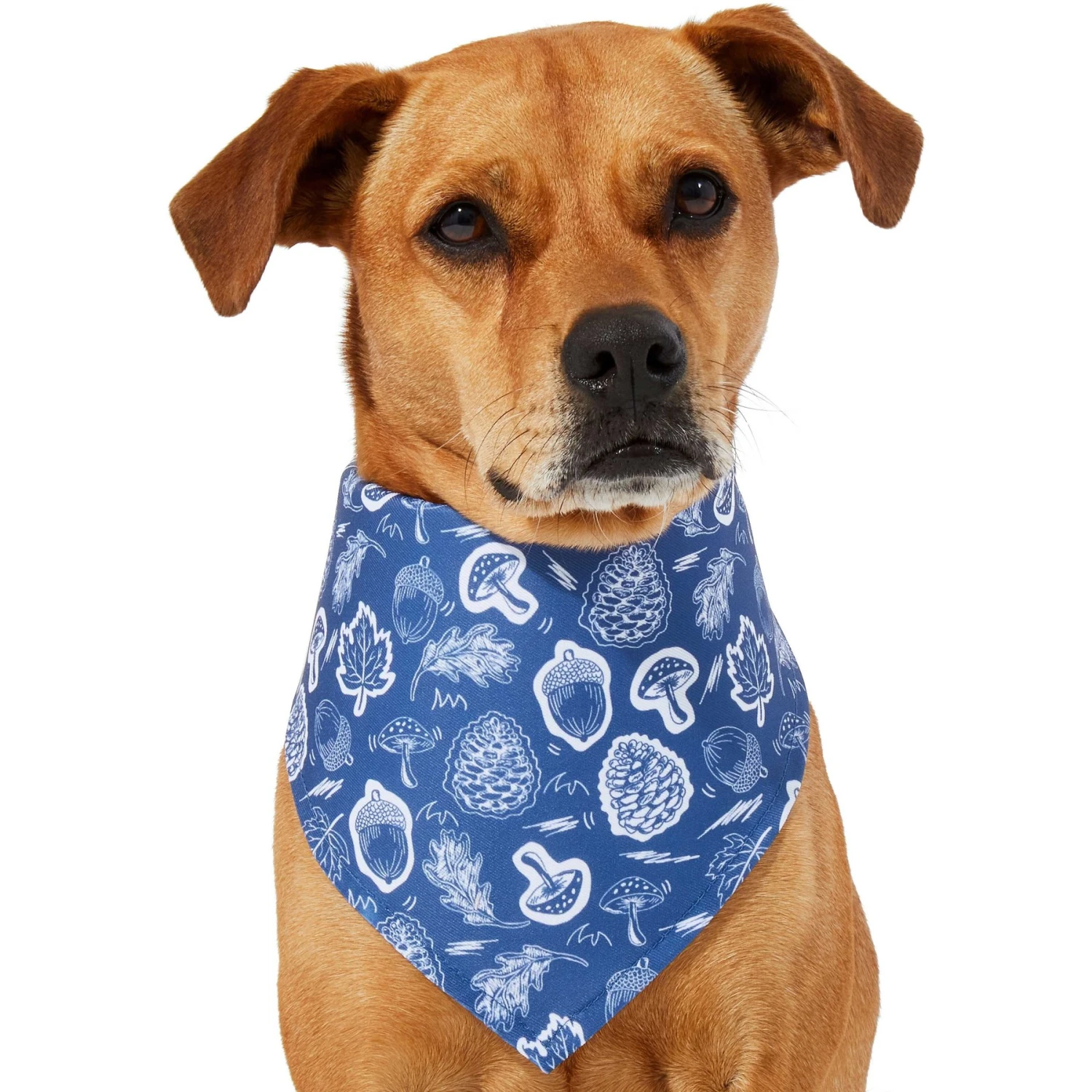 Frisco Fall Vibes Dog & Cat Bandana 3 Frisco Fall Vibes Dog & Cat Bandana - Image 3