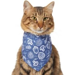 Frisco Fall Vibes Dog & Cat Bandana 11 Frisco Fall Vibes Dog & Cat Bandana -Frisco 267913 PT3. AC SS1800 V1637729806