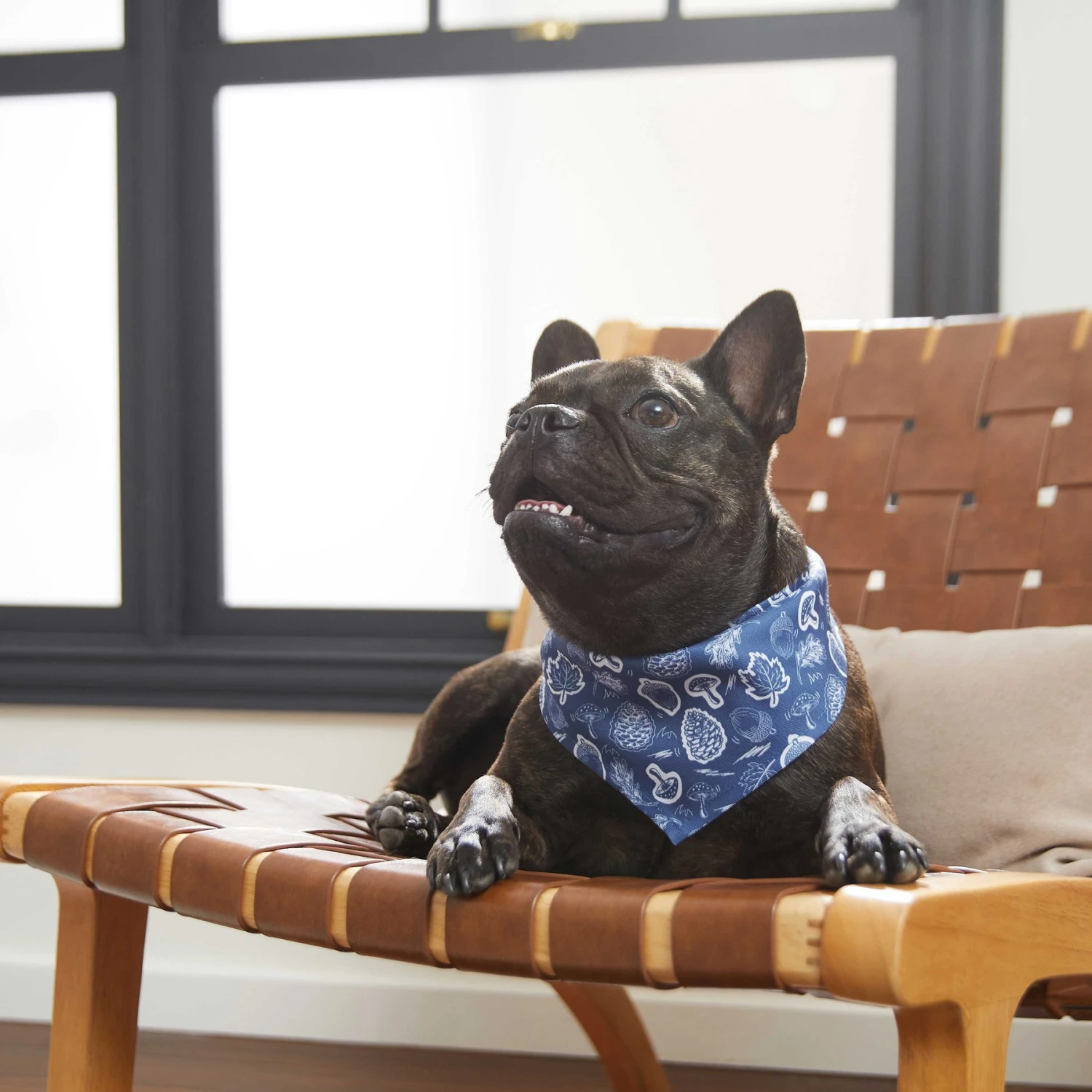 Frisco Fall Vibes Dog & Cat Bandana 6 Frisco Fall Vibes Dog & Cat Bandana - Image 6