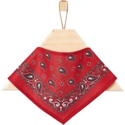 Frisco Red Paisley Dog & Cat Bandana