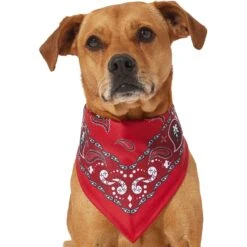 Frisco Red Paisley Dog & Cat Bandana 10 Frisco Red Paisley Dog & Cat Bandana -Frisco 267919 PT2. AC SS1800 V1637669854