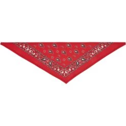 Frisco Red Paisley Dog & Cat Bandana 12 Frisco Red Paisley Dog & Cat Bandana -Frisco 267919 PT4. AC SS1800 V1637674037