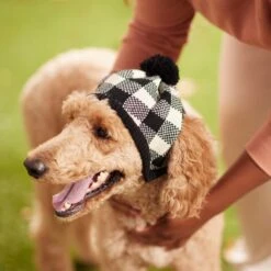 Frisco Plaid Dog & Cat Knitted Hat -Frisco 267925 PT8. AC SS1800 V1629755603