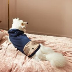 Frisco Sloth Pocket Dog & Cat Lightweight Hoodie -Frisco 268018 PT8. AC SS1800 V1629761810