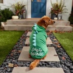 Frisco Doggiesaurus Dog & Cat Hoodie, Green 15 Frisco Doggiesaurus Dog & Cat Hoodie, Green -Frisco 268033 PT8. AC SS1800 V1629763006