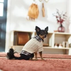 Frisco Cream Cable Knit Dog & Cat Sweater, White/Red Plaid 13 Frisco Cream Cable Knit Dog & Cat Sweater, White/Red Plaid -Frisco 268057 PT8. AC SS1800 V1629766069
